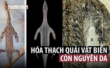 Bất ngờ hóa thạch 240 triệu năm tuổi còn nguyên da