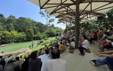 Người Việt xê dịch và kinh tế Việt Nam