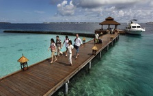 Quốc gia đầu tiên cấm thuốc lá theo năm sinh