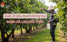Cùng sống xanh số 131: Xuất khẩu 20 tấn chanh/tuần sang Hà Lan nhờ cách làm này
