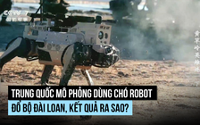 Trung Quốc tung chó robot, UAV ra tập trận đánh đảo, kết quả ra sao?