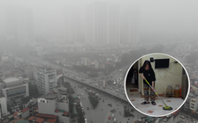 Thời tiết biến động, người miền Bắc tìm mua máy hút ẩm trái mùa