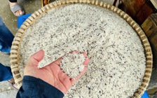 Chính thức: Philippines cấm nhập khẩu gạo đến hết năm 2025