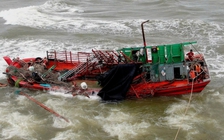 Cứu 8 thuyền viên bị chìm tàu trên biển ở Quảng Trị