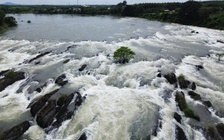 Thủy điện ở Đồng Nai xả lũ, thác Trị An hồi sinh