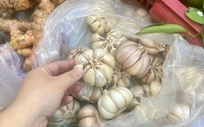 Người Việt chi đến 353 tỉ đồng mỗi tháng để ăn tỏi nhập khẩu
