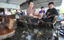 Nhà hàng gây bão khi thực khách dầm nước lũ ngắm cá bơi