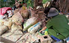 Công an Lâm Đồng triệt phá vụ khai thác vàng trái phép