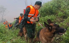 Sạt lở núi ở Đà Nẵng: Quân đội khẩn trương tìm người mất tích