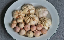 Chi 353 tỉ/tháng ăn tỏi nhập khẩu, vì sao người Việt chuộng tỏi Trung Quốc?