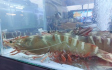 Tôm sú 'khủng' gây sốt Ngày hội cua Cà Mau lần thứ II