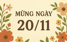 Lời chúc 20.11 ý nghĩa ngày Nhà giáo Việt Nam: Mạng xã hội tràn ngập lòng biết ơn