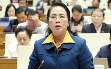 Đại biểu đề xuất miễn, giảm thuế thu nhập cá nhân với gia đình từ 2 con