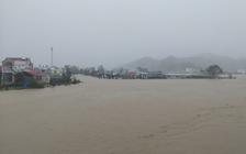 Vỡ đê sông Luật Lễ, Gia Lai sơ tán khẩn cấp khoảng 1.000 hộ dân