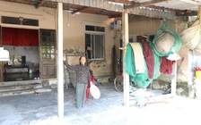 Khu tái định cư thành bãi chăn bò, dân mỏi mòn chờ nơi ở