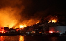 Lửa phá hủy 170 nhà trong vụ cháy lớn nhất 50 năm ở Nhật, 1 người thiệt mạng