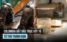Những hiện vật đầu tiên từ 'kho báu tàu đắm' tỉ đô ngoài khơi Colombia