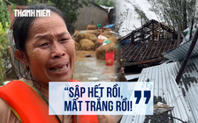 Ám ảnh tiếng khóc ở Hội Cư giữa hoang tàn: Nhà sập hàng loạt, trâu bò treo trên cây