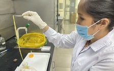 Bệnh ký sinh trùng có nguy cơ bùng phát sau nhiều năm 'bị lãng quên'