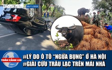 Toàn cảnh 17h: Bất ngờ lý do ô tô ‘ngửa bụng’ ở Hà Nội | Bộ đội vất vả cứu trâu đứng trên mái nhà