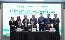 HAGL, OCB, OCBS ký kết hợp tác chiến lược