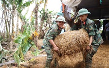 Nỗ lực tái thiết sau lũ lịch sử