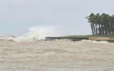 Biển Đông thời tiết rất xấu, gió giật tới cấp 10, sóng 2,5 - 7 m do không khí lạnh