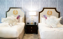 Tổng thống Trump ân xá gà tây dịp Lễ tạ ơn