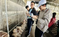 Diễn biến thời tiết phức tạp, Sở GD-ĐT TP.HCM đưa ra cảnh báo