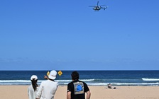 Cá mập cắn chết một phụ nữ tại Úc