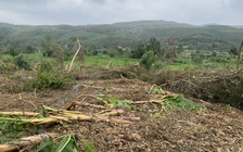 Trước bão số 15: Đắk Lắk khẩn cấp di dời 13 hộ dân do sạt lở núi