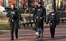 Mỹ rà soát thẻ xanh cấp cho di dân từ 19 nước sau vụ vệ binh bị bắn