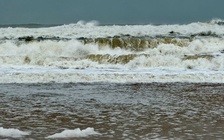 Sóng cao 2 m trước bão số 15: Đắk Lắk ban lệnh cấm biển, huy động dọn rác