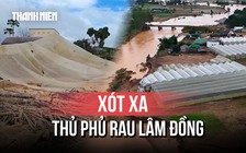 Trận lũ lịch sử cuốn phăng hàng trăm ha nhà lưới ở Lâm Đồng