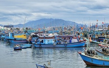 Ứng phó bão Kalmaegi: Khánh Hòa yêu cầu tàu thuyền vào bờ trước 10 giờ ngày 5.11