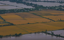 ĐBSCL lũ cuối mùa cao bất thường, có thể ảnh hưởng vụ đông xuân sắp đến