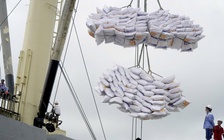 Xuất khẩu gạo trụ vững bất chấp khó khăn