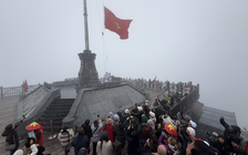 Mây săn người trên đỉnh Fansipan