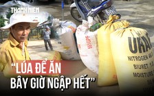 Lúa lên mầm vì mưa lũ, người dân rốn lũ Đà Nẵng cố 'vớt vát' từng hạt