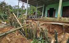 Sạt lở uy hiếp nhiều nhà dân vùng cao Khe Sanh, Quảng Trị