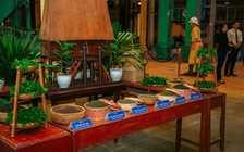 Thi khởi nghiệp về trà Việt