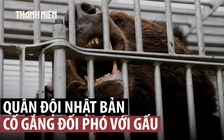 Quân đội Nhật Bản ra tay trấn áp gấu sau làn sóng tấn công kỷ lục