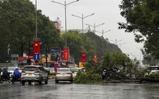 Tin tức đặc biệt trên báo in Thanh Niên 7.11.2025