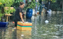 Phường lún nhanh nhất TP.HCM 'chìm' gần 1 mét, lãnh đạo nói gì?