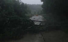 Bão Kalmaegi đổ bộ: Một người dân tử vong do nhà sập