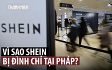 Pháp đình chỉ Shein vì bán búp bê tình dục và vũ khí