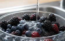 Lợi ích sức khỏe đặc biệt từ các loại trái cây màu tím đậm?