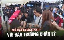 Cuối tuần rực lửa Esports tại Nhà thi đấu Rạch Miễu với Đấu Trường Chân Lý