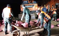 Hàng trăm người trắng đêm cứu hồ Cay An trước nguy cơ vỡ đập