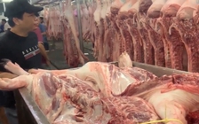 Giá heo hơi hôm nay 10.12.2025: Tạm ngừng đà tăng